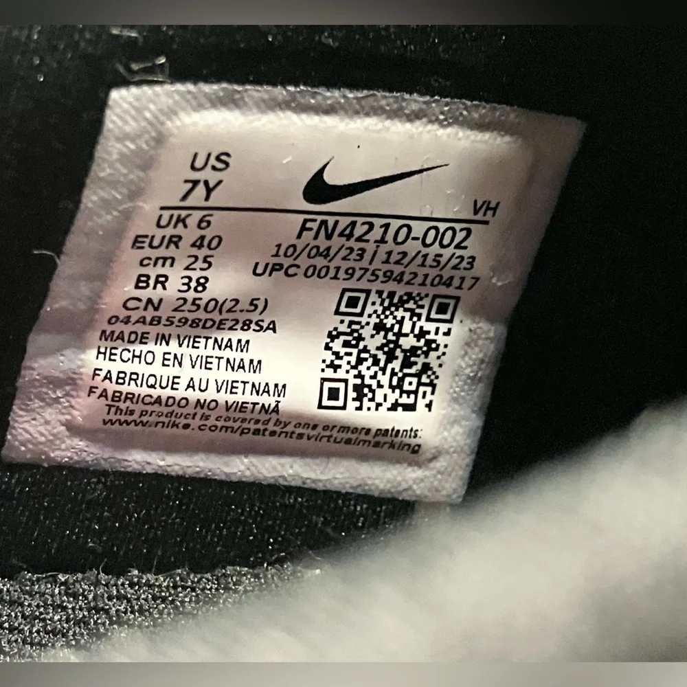 Nike SB Day One Zoom Air Style FN4210-002 NEW Sneakers Dunks Jordans Dunk Low